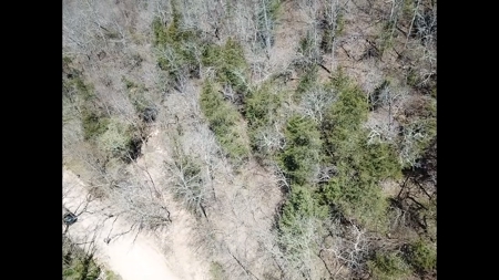 14 Acres of Wooded Land For Sale - image 4