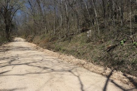 14 Acres of Wooded Land For Sale - image 12
