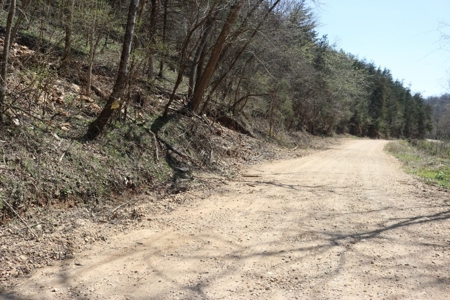 14 Acres of Wooded Land For Sale - image 13