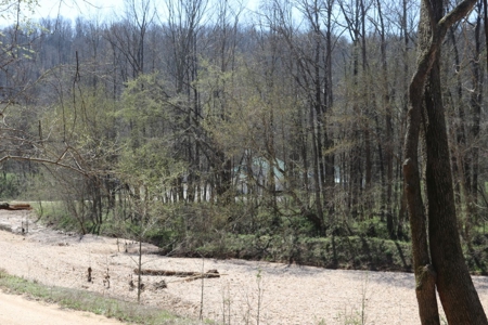 14 Acres of Wooded Land For Sale - image 23