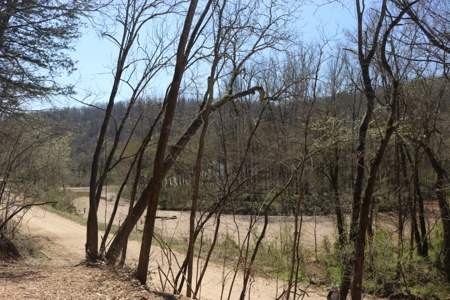 14 Acres of Wooded Land For Sale - image 19