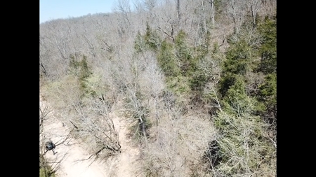14 Acres of Wooded Land For Sale - image 2