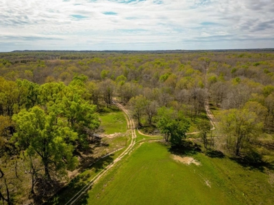 Hunting Land For Sale in Catahoula Parish, LA - 691 Acres - image 46
