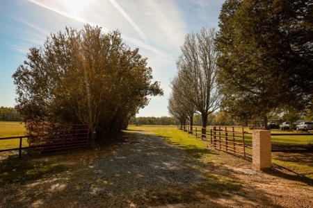 Hunting Land For Sale in Catahoula Parish, LA - 691 Acres - image 5