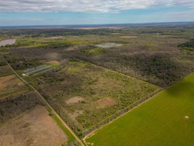 Hunting Land For Sale in Catahoula Parish, LA - 691 Acres - image 34