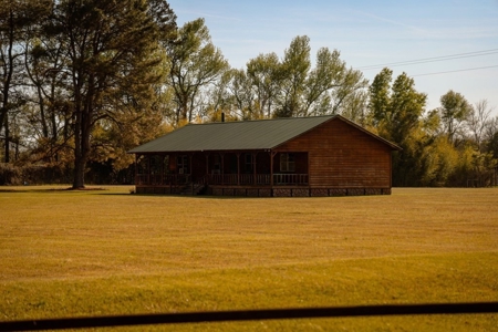 Hunting Land For Sale in Catahoula Parish, LA - 691 Acres - image 17