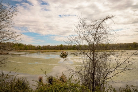 Hunting Land For Sale in Catahoula Parish, LA - 691 Acres - image 30