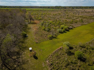 Hunting Land For Sale in Catahoula Parish, LA - 691 Acres - image 2