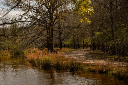 Hunting Land For Sale in Catahoula Parish, LA - 691 Acres - image 39