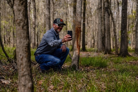 Hunting Land For Sale in Catahoula Parish, LA - 691 Acres - image 22