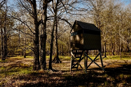 Hunting Land For Sale in Catahoula Parish, LA - 691 Acres - image 44