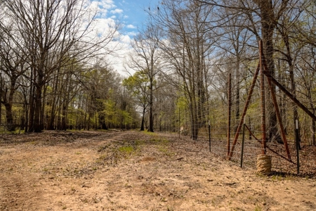 Hunting Land For Sale in Catahoula Parish, LA - 691 Acres - image 24