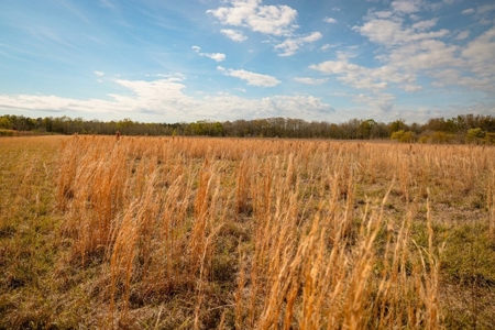 Hunting Land For Sale in Catahoula Parish, LA - 691 Acres - image 42
