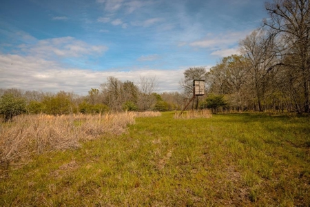 Hunting Land For Sale in Catahoula Parish, LA - 691 Acres - image 3