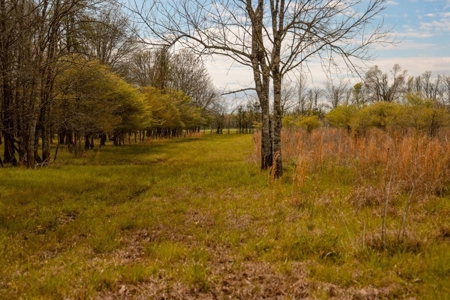 Hunting Land For Sale in Catahoula Parish, LA - 691 Acres - image 36
