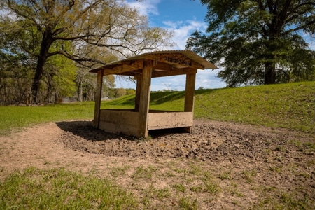 Hunting Land For Sale in Catahoula Parish, LA - 691 Acres - image 21