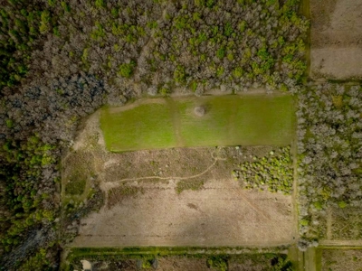 Hunting Land For Sale in Catahoula Parish, LA - 691 Acres - image 26