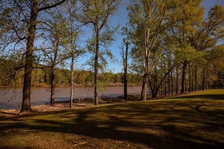 Hunting Land For Sale in Catahoula Parish, LA - 691 Acres - image 45