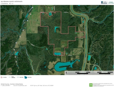 Hunting Land For Sale in Catahoula Parish, LA - 691 Acres - image 50