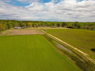 Hunting Land For Sale in Catahoula Parish, LA - 691 Acres - image 38