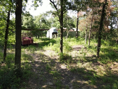 Central Texas Farm and Ranch for sale, Fishing, Hunting - image 35