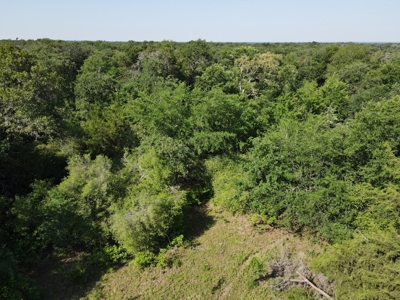 Central Texas Farm and Ranch for sale, Fishing, Hunting - image 21