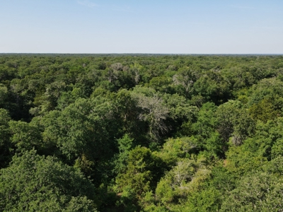 Central Texas Farm and Ranch for sale, Fishing, Hunting - image 19