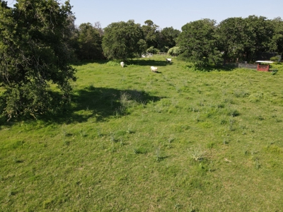 Central Texas Farm and Ranch for sale, Fishing, Hunting - image 24