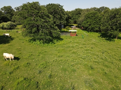 Central Texas Farm and Ranch for sale, Fishing, Hunting - image 25