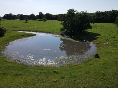 Central Texas Farm and Ranch for sale, Fishing, Hunting - image 28