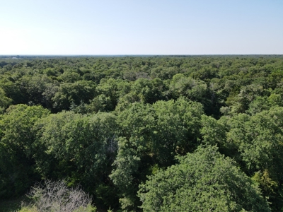 Central Texas Farm and Ranch for sale, Fishing, Hunting - image 18