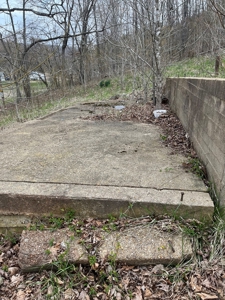 Wayne County lot near Black River - image 3