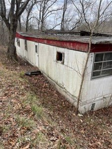 Wayne County lot near Black River - image 4