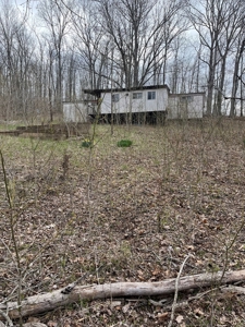 Wayne County lot near Black River - image 1