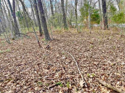 Residential Building Lot for Sale Cherokee Village, AR - image 8