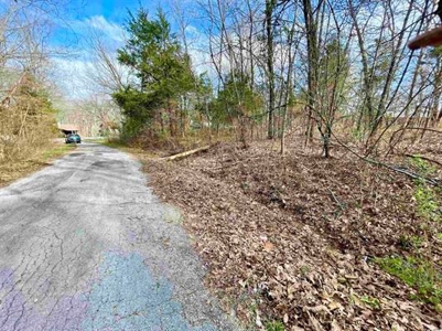 Residential Building Lot for Sale Cherokee Village, AR - image 4