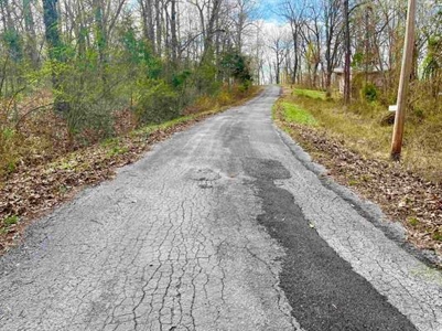 Residential Building Lot for Sale Cherokee Village, AR - image 2