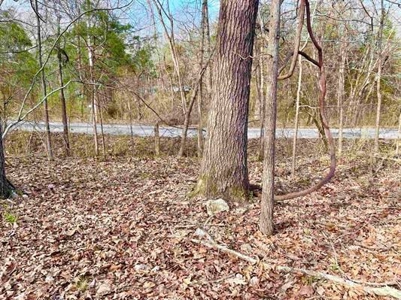 Residential Building Lot for Sale Cherokee Village, AR - image 7
