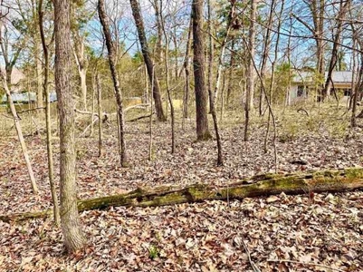 Residential Building Lot for Sale Cherokee Village, AR - image 9