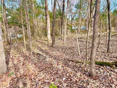 Residential Building Lot for Sale Cherokee Village, AR - image 1