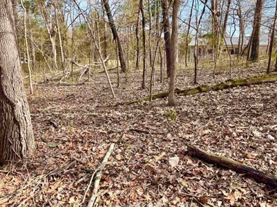 Residential Building Lot for Sale Cherokee Village, AR - image 6