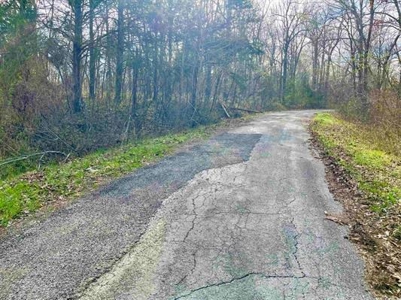 Residential Building Lot for Sale Cherokee Village, AR - image 3