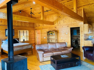 Riverfront Log Cabins For Sale In Mountain View, Arkansas - image 28