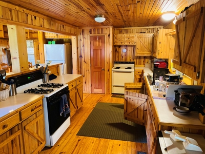 Riverfront Log Cabins For Sale In Mountain View, Arkansas - image 23