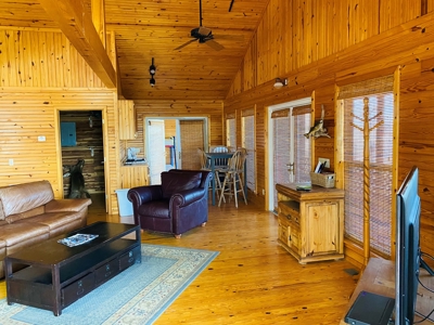 Riverfront Log Cabins For Sale In Mountain View, Arkansas - image 29