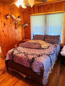 Riverfront Log Cabins For Sale In Mountain View, Arkansas - image 22