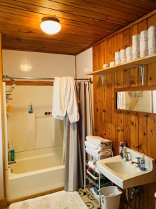 Riverfront Log Cabins For Sale In Mountain View, Arkansas - image 18