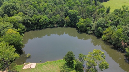 Riverfront Log Cabins For Sale In Mountain View, Arkansas - image 3
