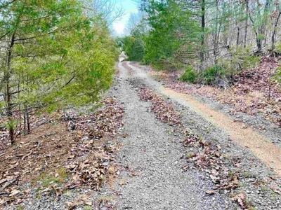 Residential building lot for sale Cherokee Village, AR - image 3