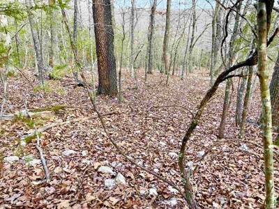 Residential building lot for sale Cherokee Village, AR - image 11